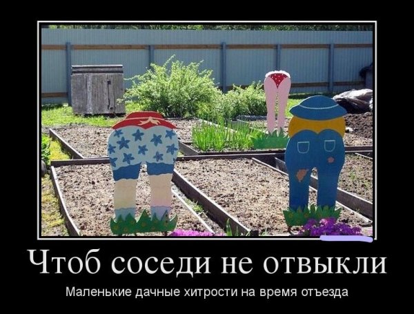 Огород юмор