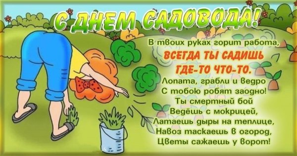 Смешные цитаты про огород