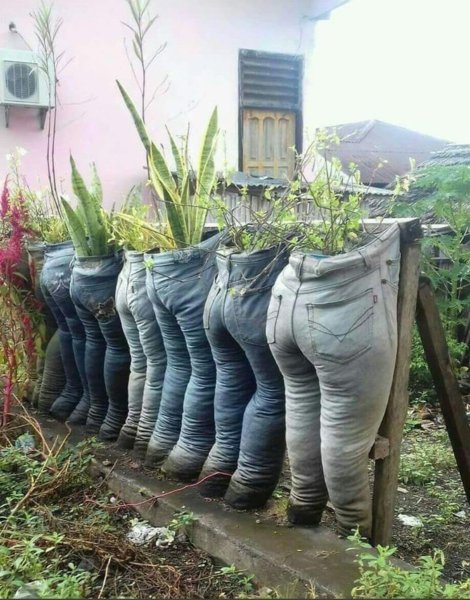 Стихи про огород