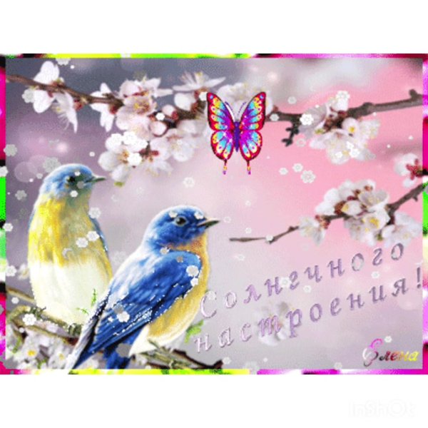 Снег блестит