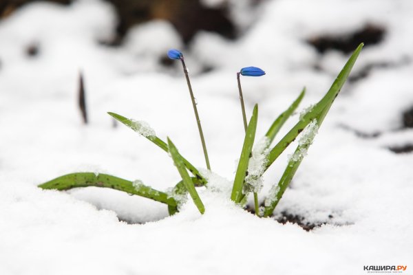 Снег весной выпал картиночки