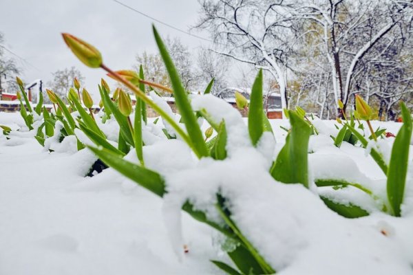 Сугробы в апреле