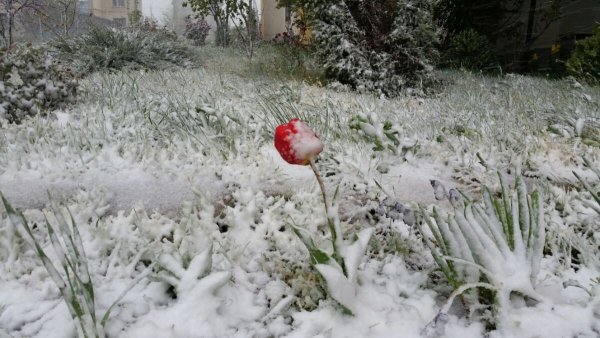 Снег в апреле приколы