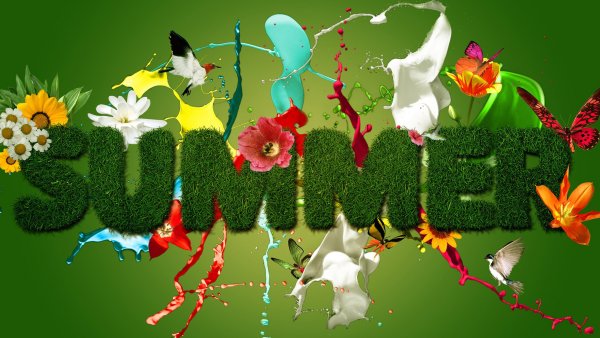 Заставка лето