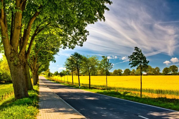 Лето в городе