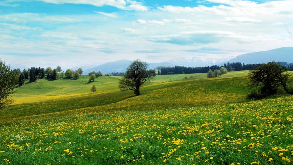 Луга Башкортостана