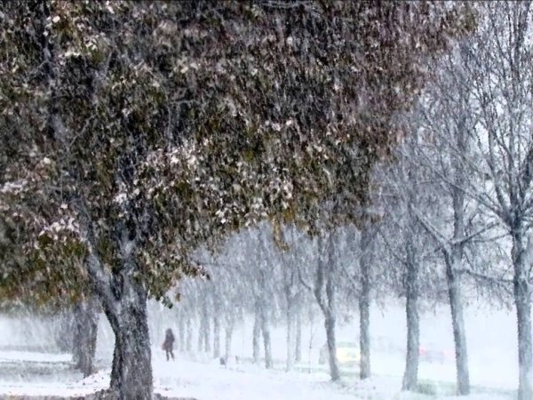 Дождь со снегом весной