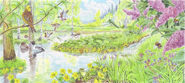 Зима в лесу для дошкольников