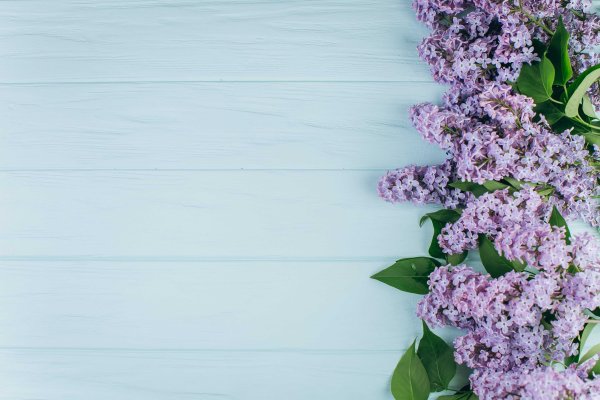 Весенний фон для текста