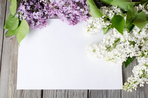 Фон для поста в Инстаграм