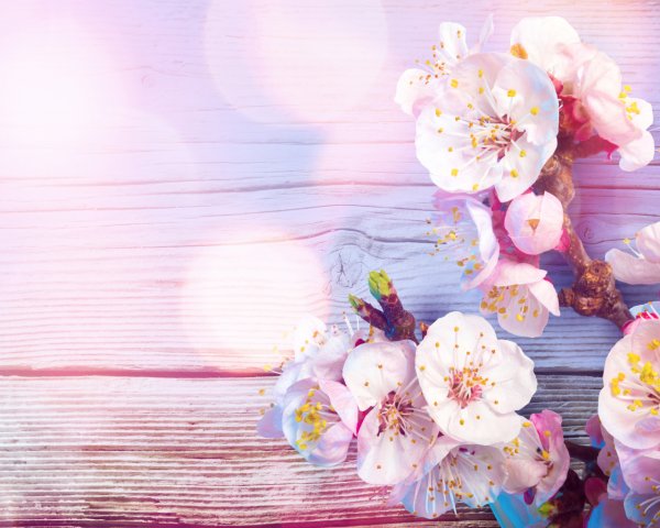 Красивый фон для текста