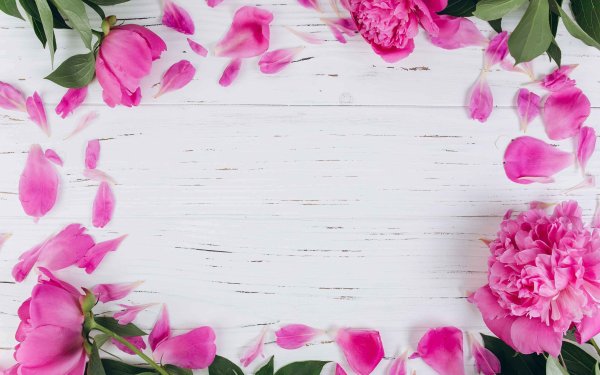 Весенние цветы фон