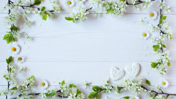 Поздравления с Ново селием