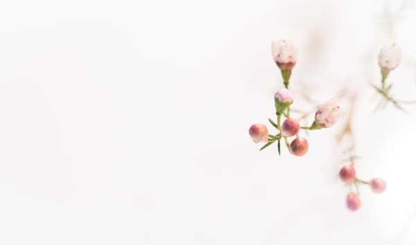 Цветы и блокнот на столе