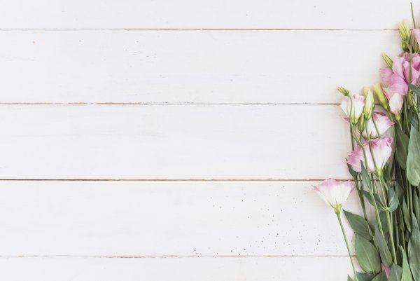 Цветы по периметру