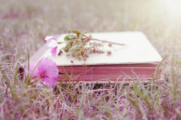 Фотофон сирень