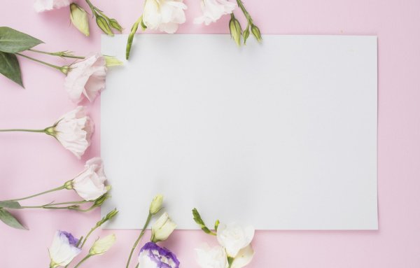 Фотофон цветы сиреневые