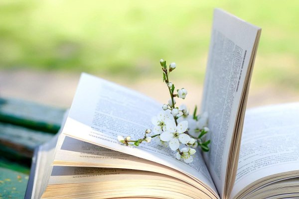 Цветы в книжке