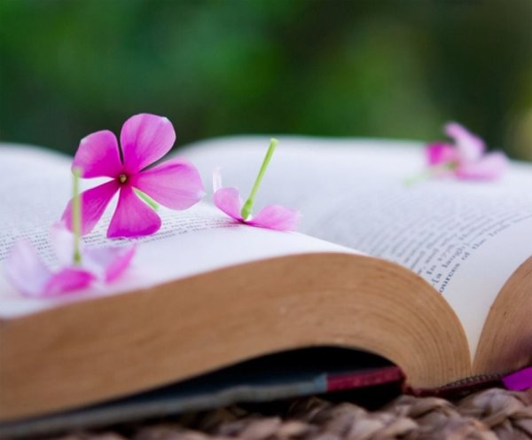 Книга цветы