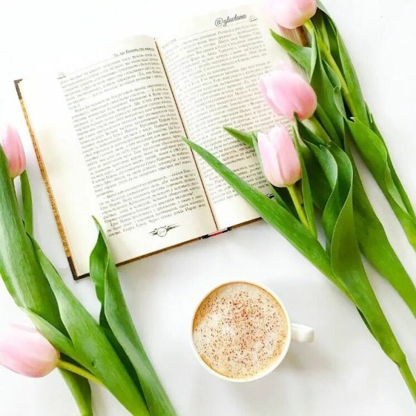 Книга цветы