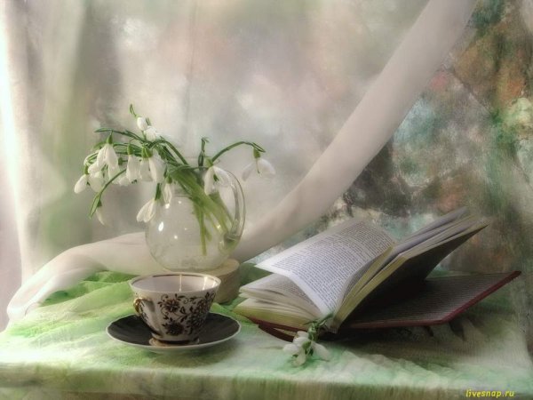 Книги о весне