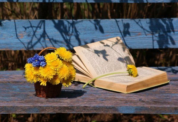 Натюрморт с книгами светлый