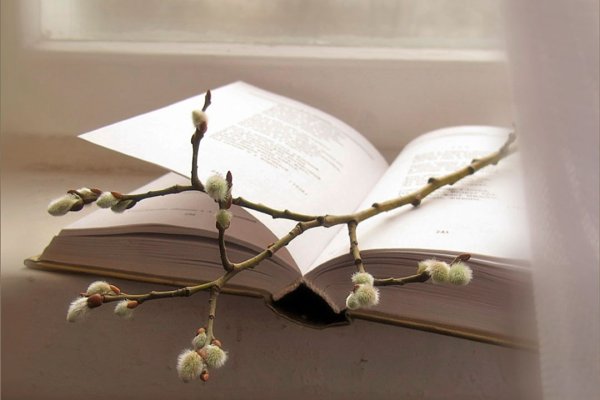 Весенние цветы книжный