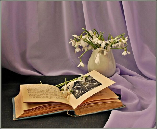 Цветы в книжке
