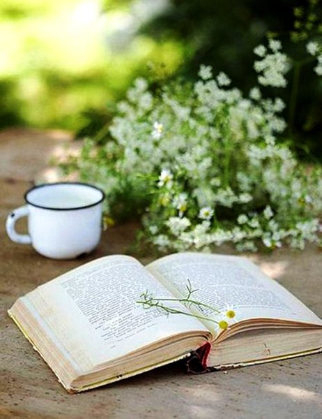 Лето Вдохновение