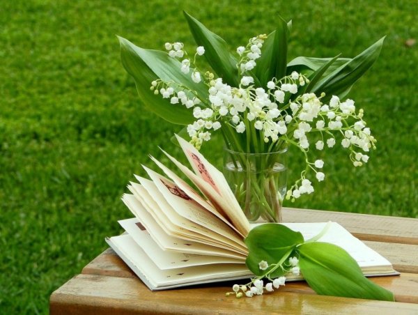 Книга цветы