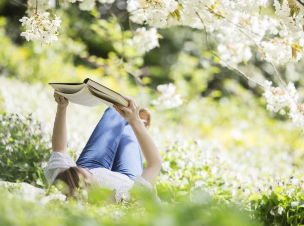 Цветы на книжной полке