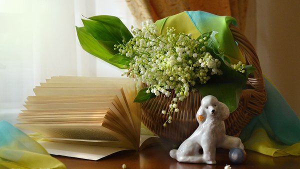 Обои на рабочий стол книги и кофе