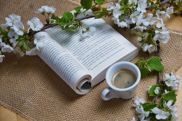 Сирень и книга