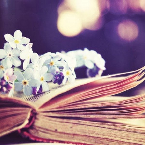 Летняя книжная Эстетика