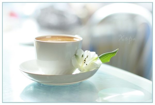 Утро кофе солнце Весна