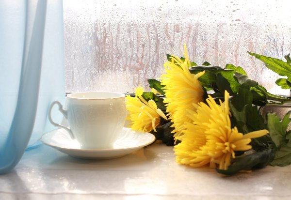 Чашка кофе и хризантемы