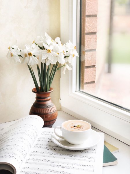 Уютные весенние цветы