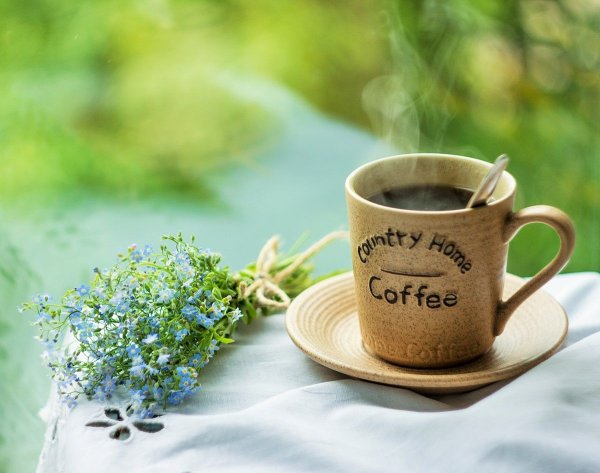 Незабудки и кофе