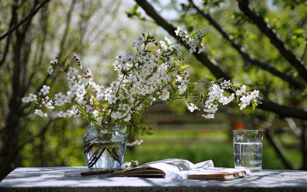 Прекрасного утра