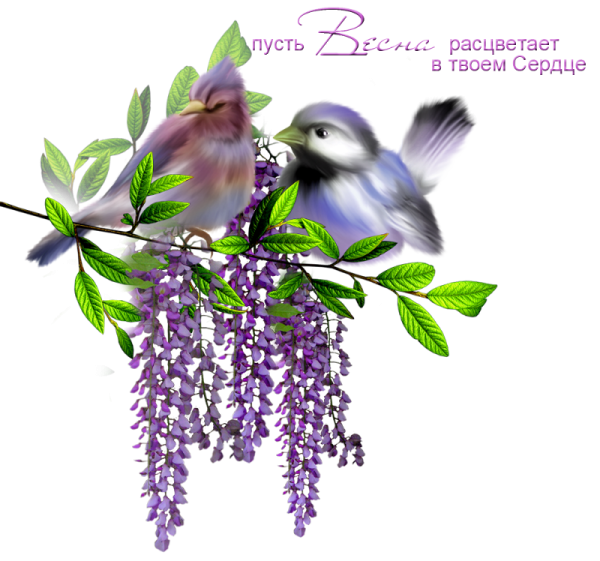 Открытка «Весна»