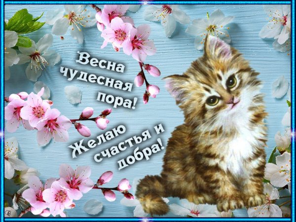 Открытка хорошей весны
