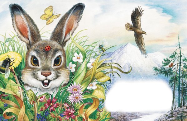 Николай Сладков хитрющий зайчишка