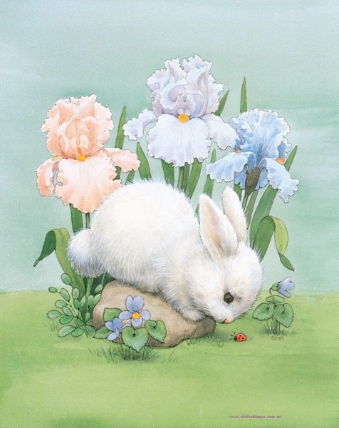 Весенний кролик