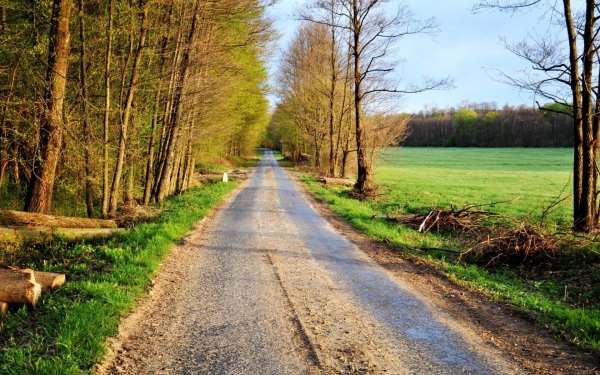 Весенняя дорога