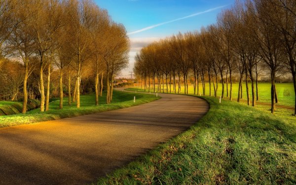 Красивый пейзаж с дорогой