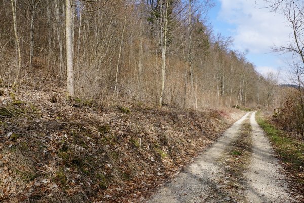 Дорога весной