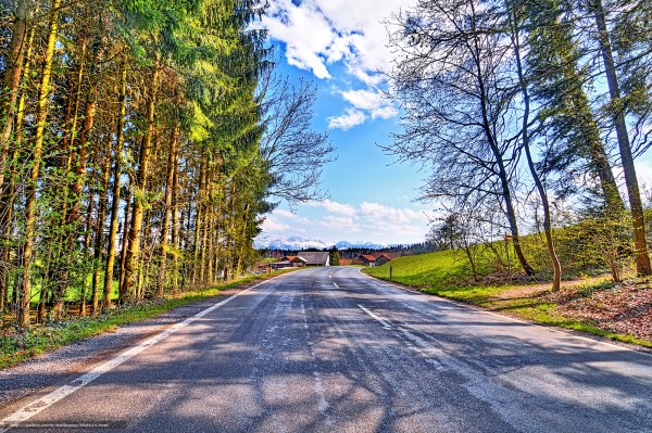 Дорога за городом