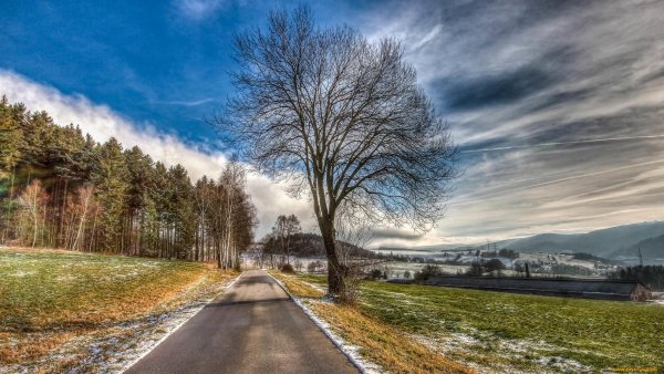 Весенняя дорога