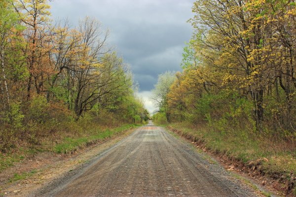 Дорога весной