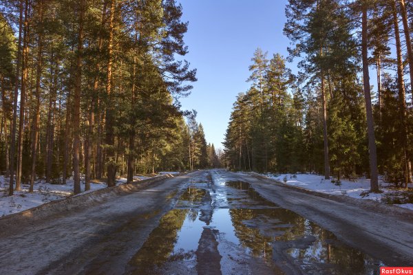 Трасса весной